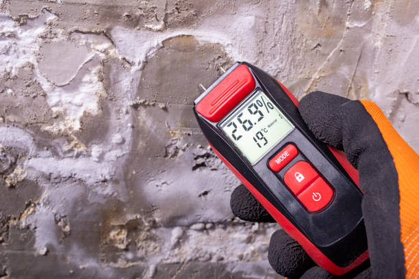 Best Mold Damage Repair  in Floris, VA