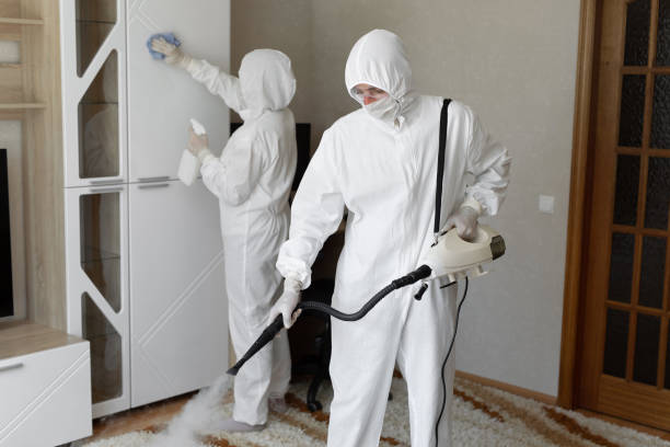 Best Fast Mold Removal  in Floris, VA