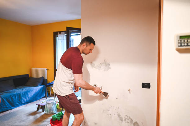 Best Black Mold Removal  in Floris, VA