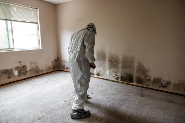 Best Crawl Space Mold Removal  in Floris, VA